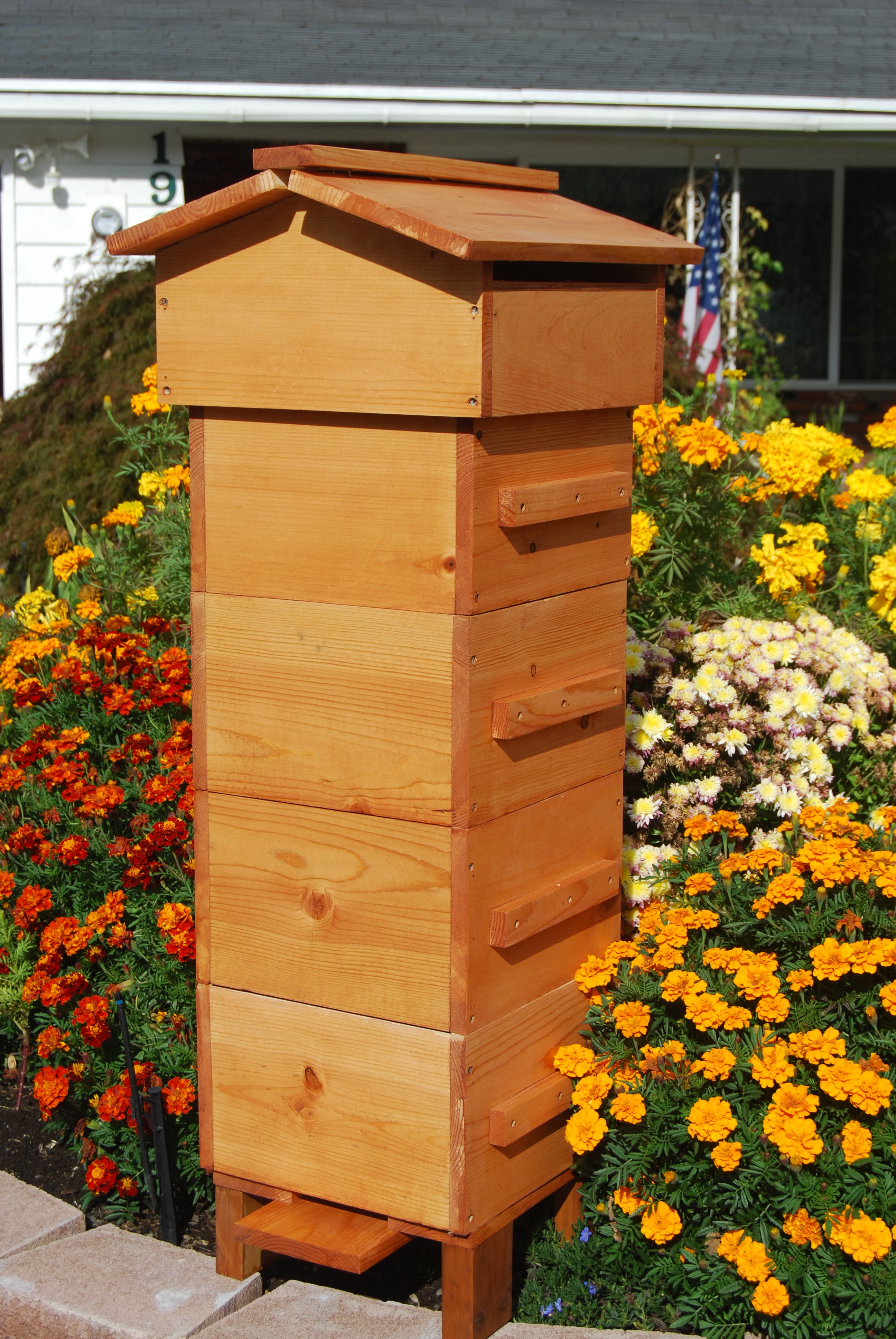 Backyard Bee Hive